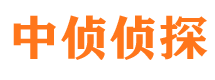 阳西市侦探公司